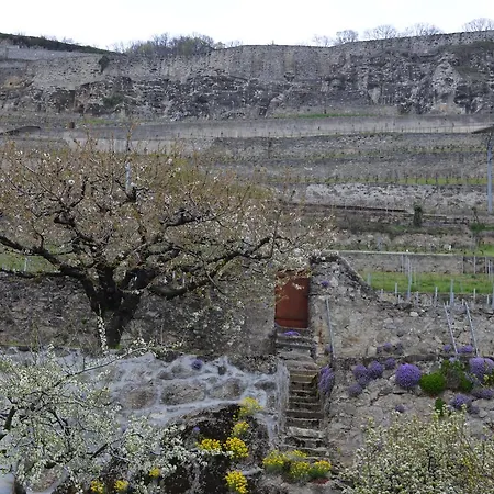 Domaine Du Burignon בית הארחה 3*