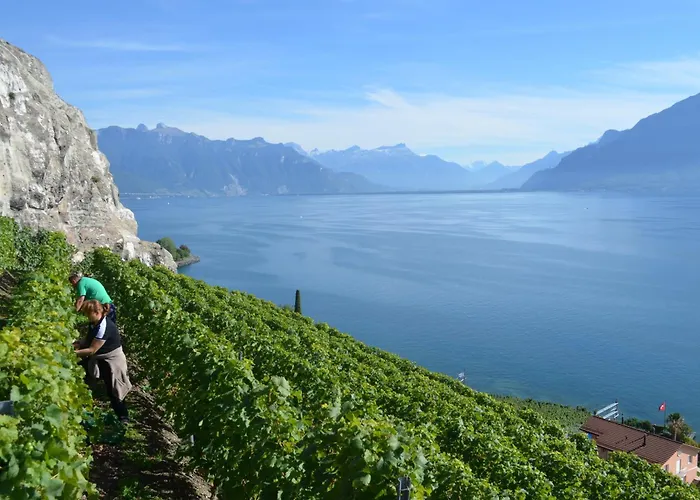 ドメーヌ デュ ブリーニョン Saint-Saphorin