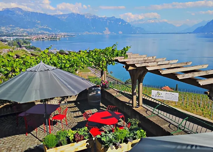 ドメーヌ デュ ブリーニョン