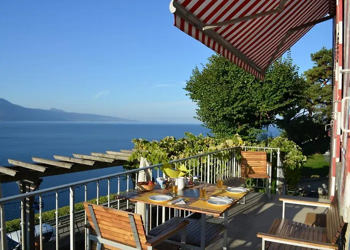 ドメーヌ デュ ブリーニョン Saint-Saphorin