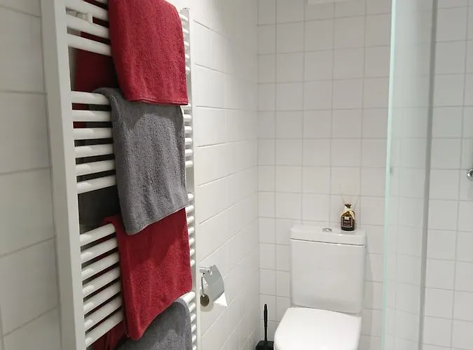 ドメーヌ デュ ブリーニョン ゲストハウス Saint-Saphorin