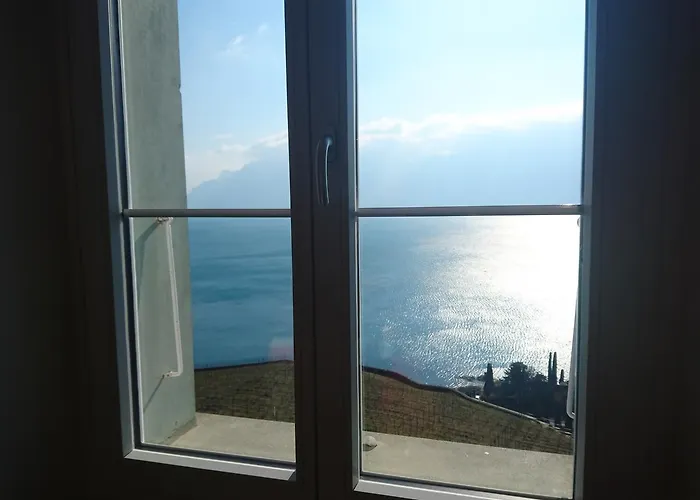 ゲストハウス ドメーヌ デュ ブリーニョン Saint-Saphorin