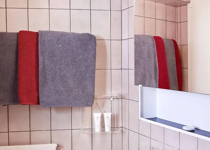 ドメーヌ デュ ブリーニョン ゲストハウス 3*